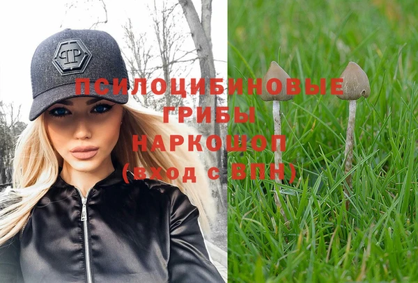 скорость Алзамай