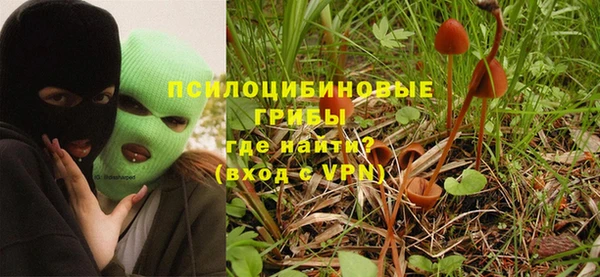 скорость Алзамай