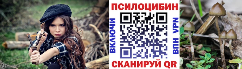 Купить закладки  Шагонар  Галлюциногенные грибы Magic Shrooms 