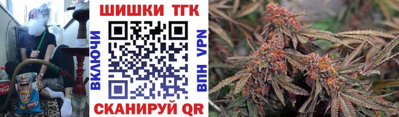 Купить где  Шагонар  Марихуана сатива 